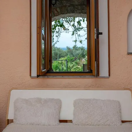 Laconian Collection Voukamvilia *