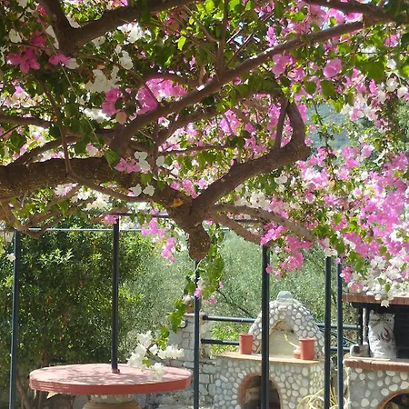 Laconian Collection Voukamvilia Apartment